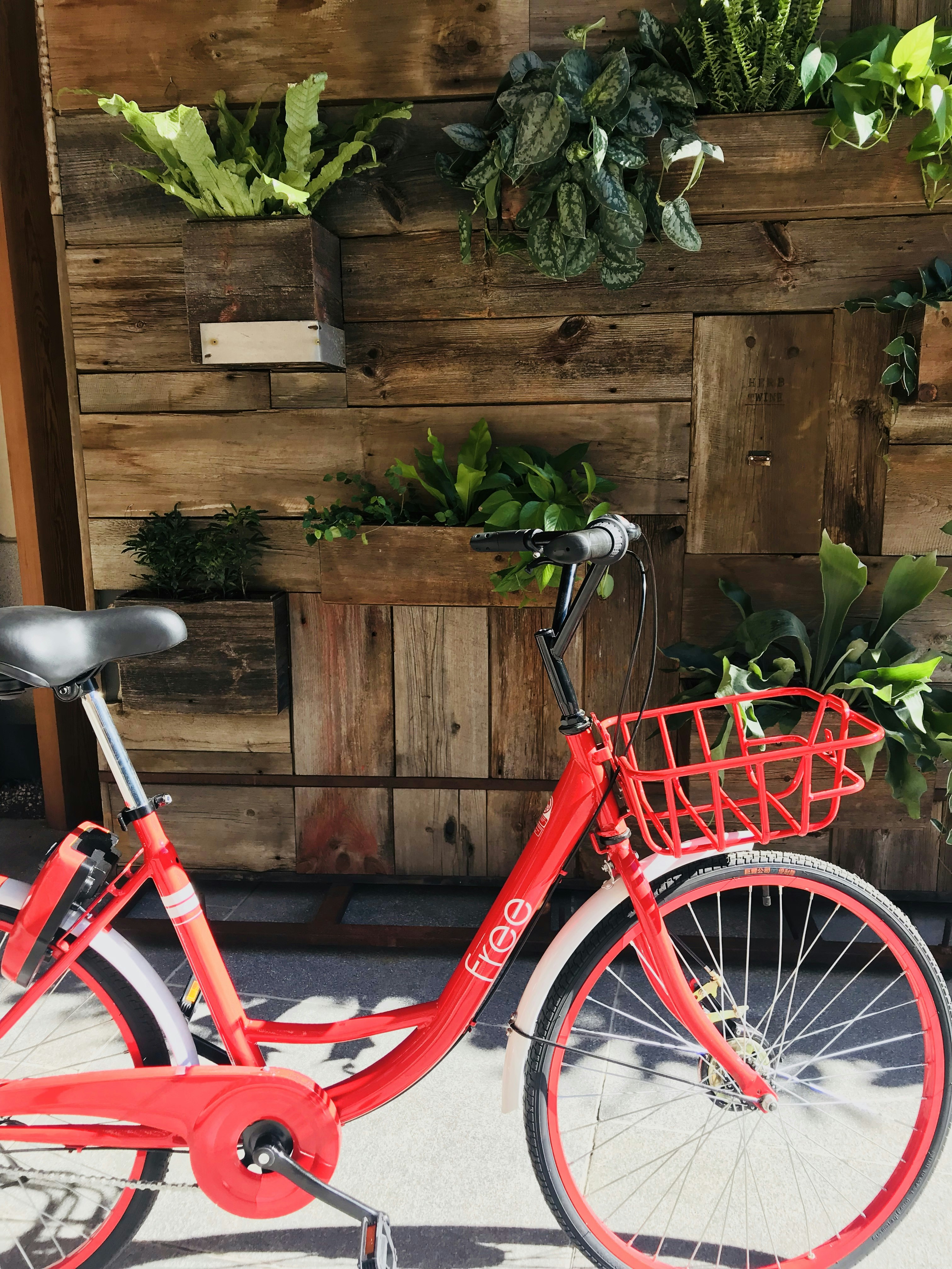 Free Bicycle gallery image