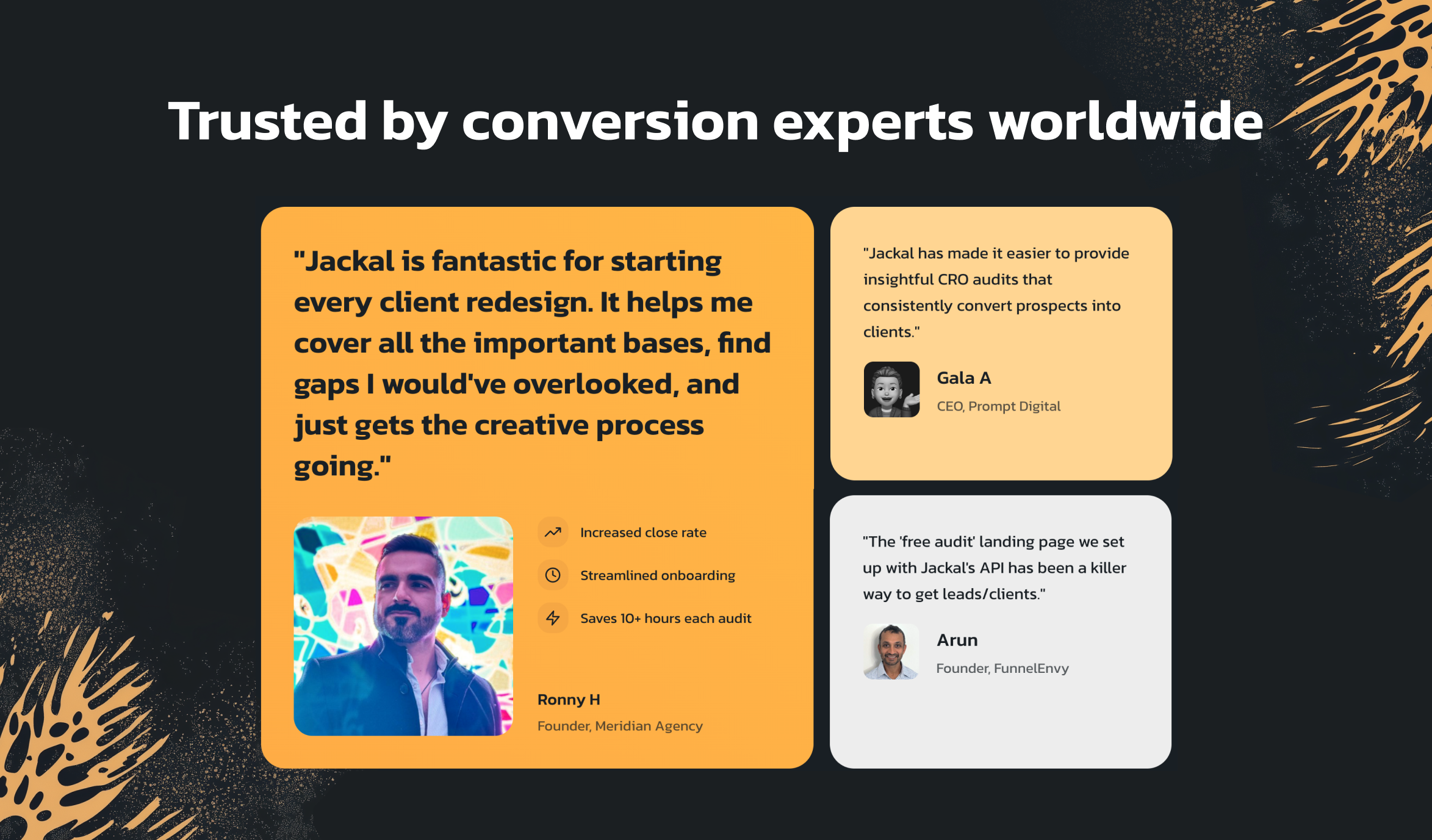 Jackal gallery image