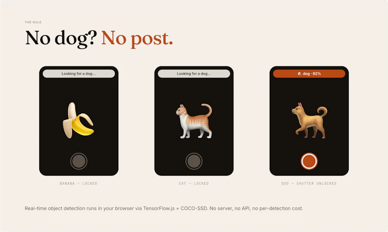 Pupgram screenshot 2