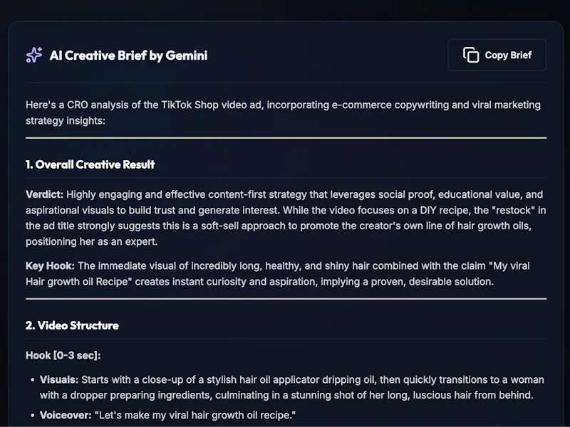 TikTok Shop AI Researcher screenshot 5