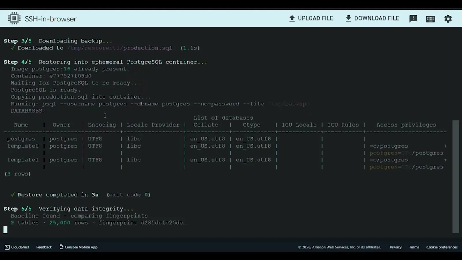 RestoreCtl screenshot 1 (video preview)