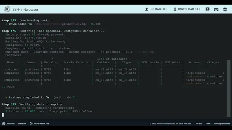 RestoreCtl screenshot 1 (video preview)