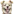 Emojis Generator