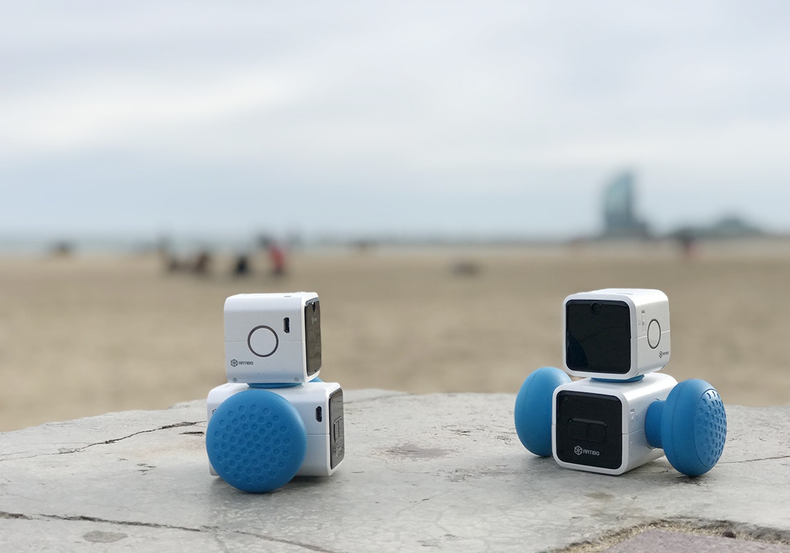 Artibo gallery image