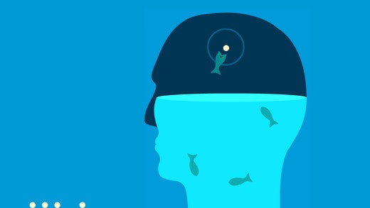 Feed The Head gallery image