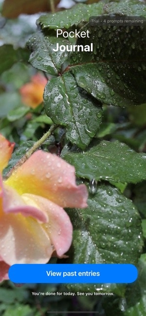 Pocket Journal gallery image