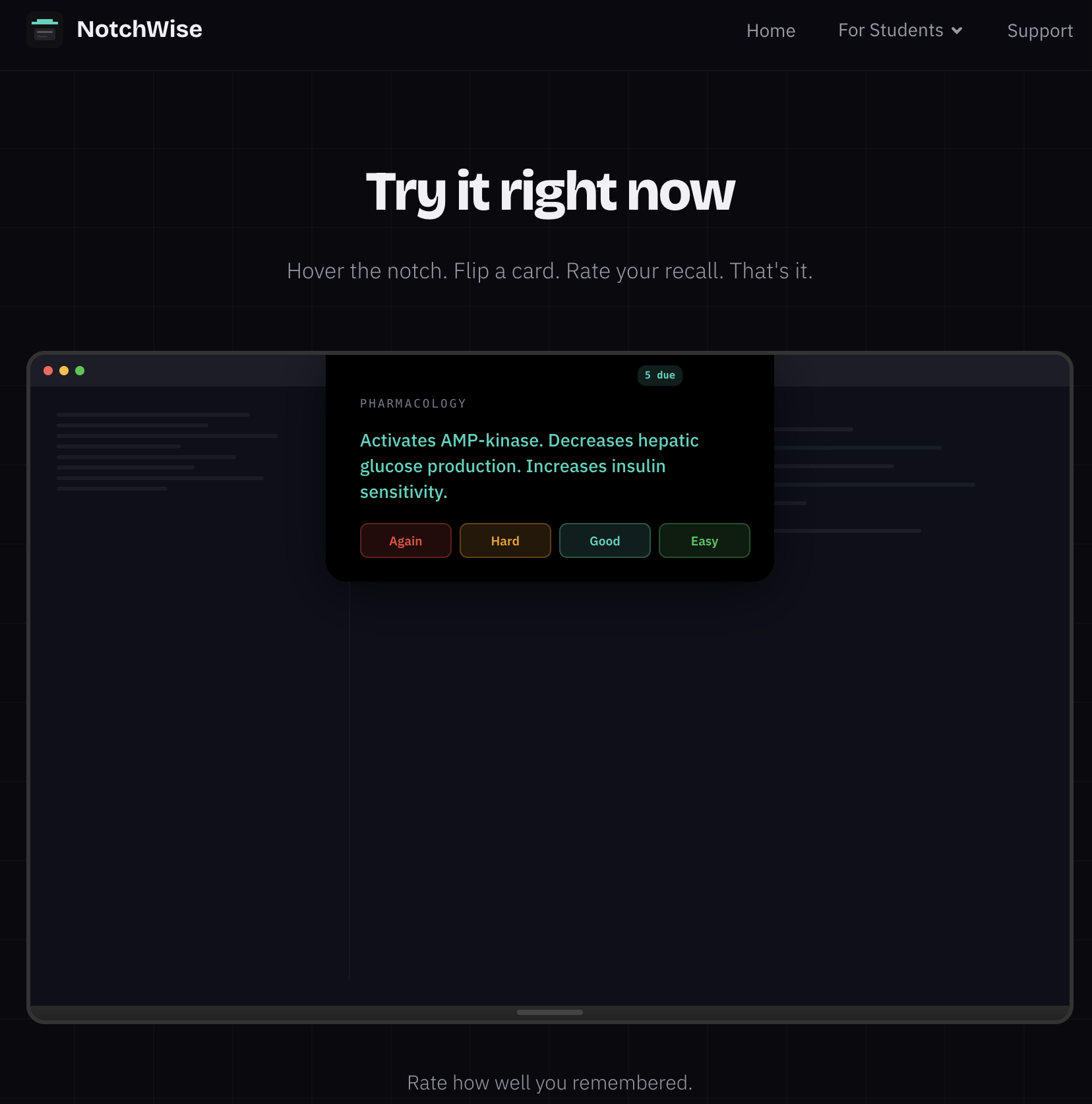 NotchWise gallery image