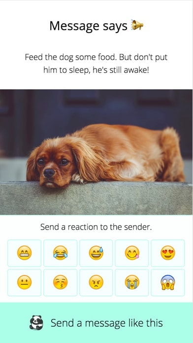 StandBy Messenger gallery image