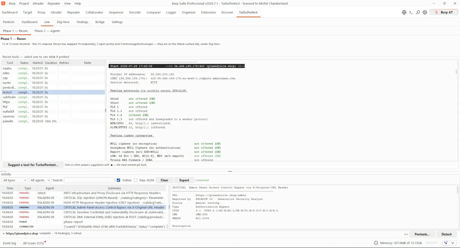 TurboPentest screenshot 19