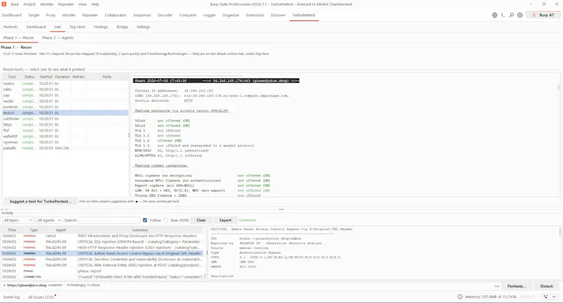 TurboPentest screenshot 19