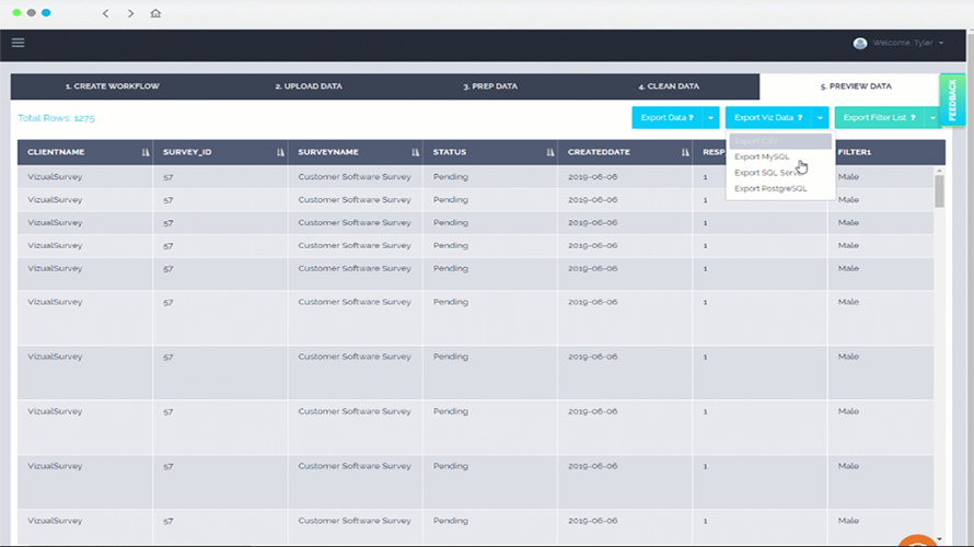 VizualSurvey gallery image