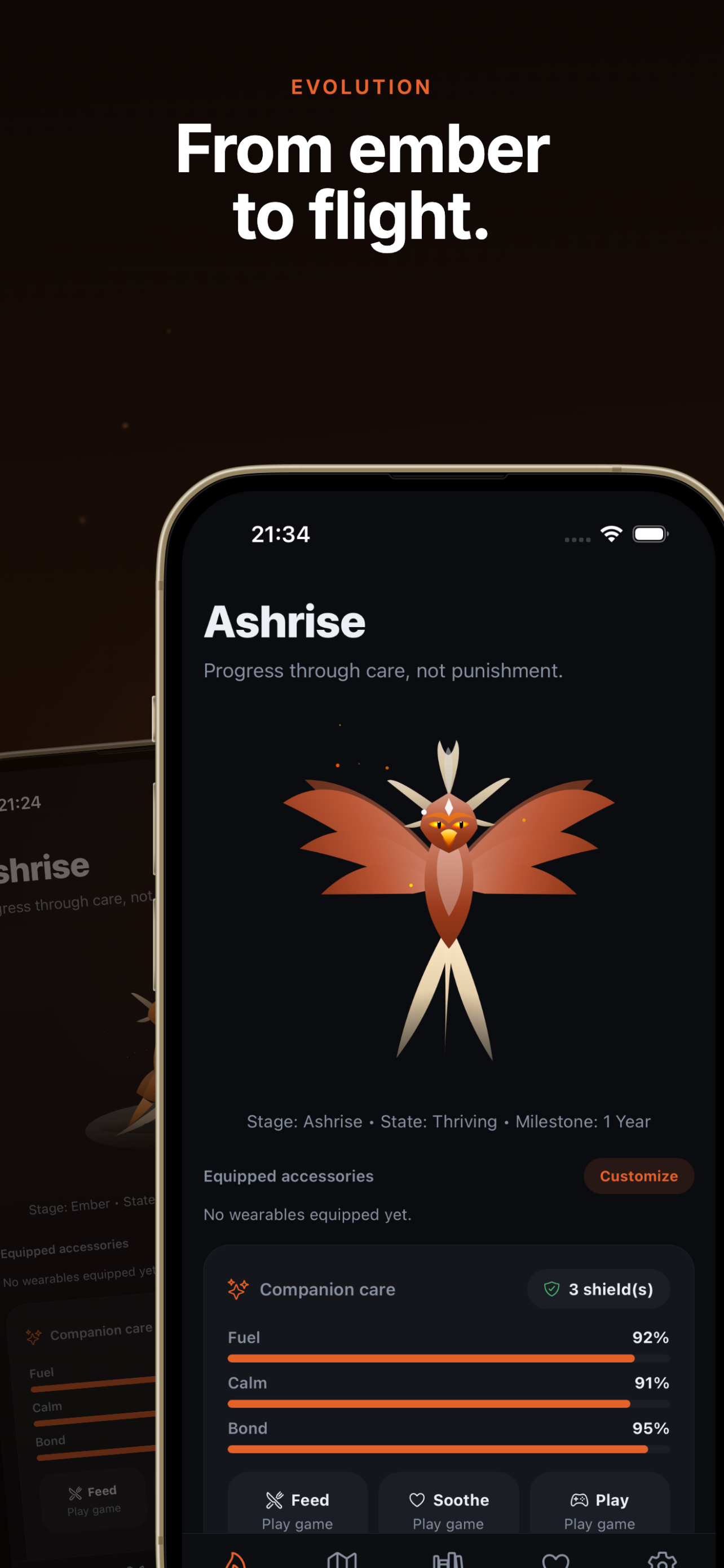 Ashrise - Sobriety Tracker gallery image