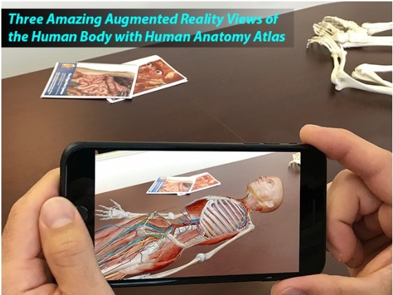 AR & VR gebaseerde menselijke lichaamssystemen media 2