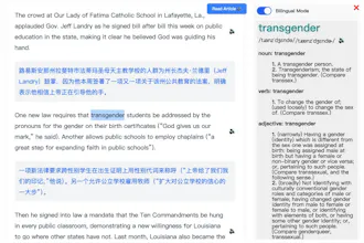 English Reader Extension gallery image