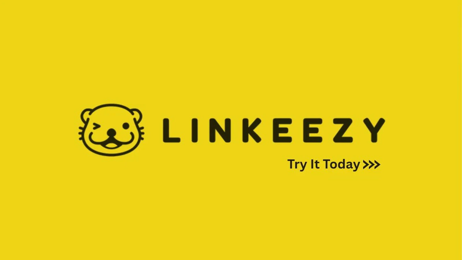 Linkeezy screenshot 1 (video preview)