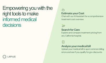 Lapius AI gallery image