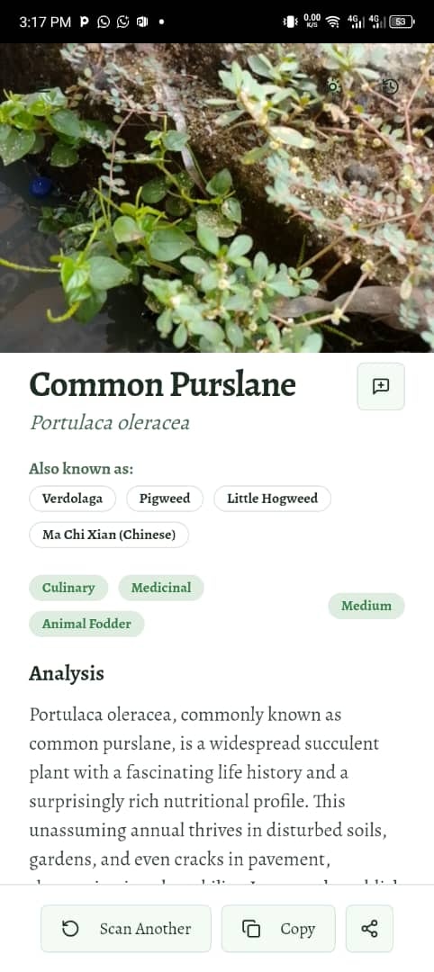 Plant seer - Main product screenshot demonstrating key features and user interface