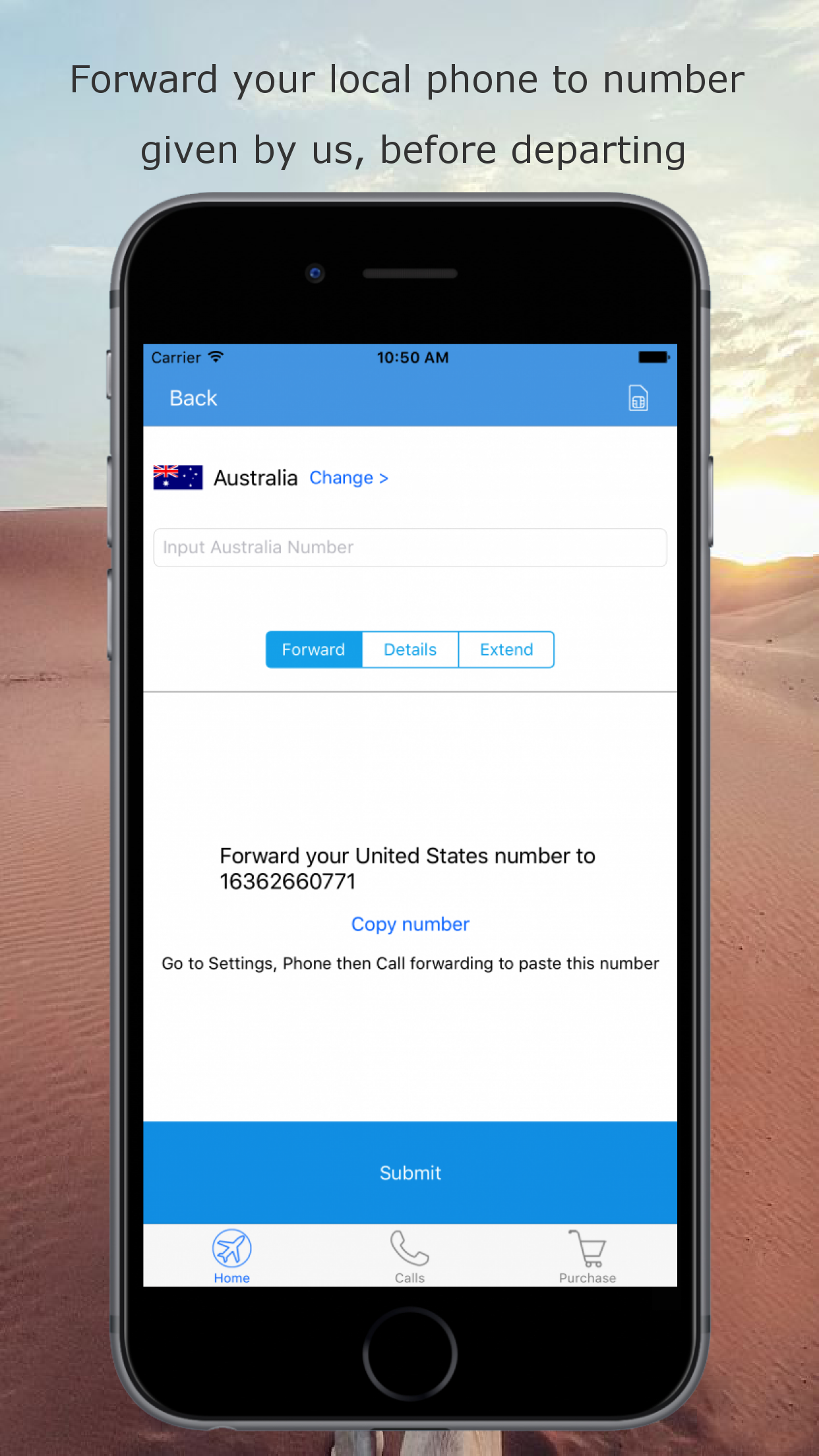 Roamed gallery image