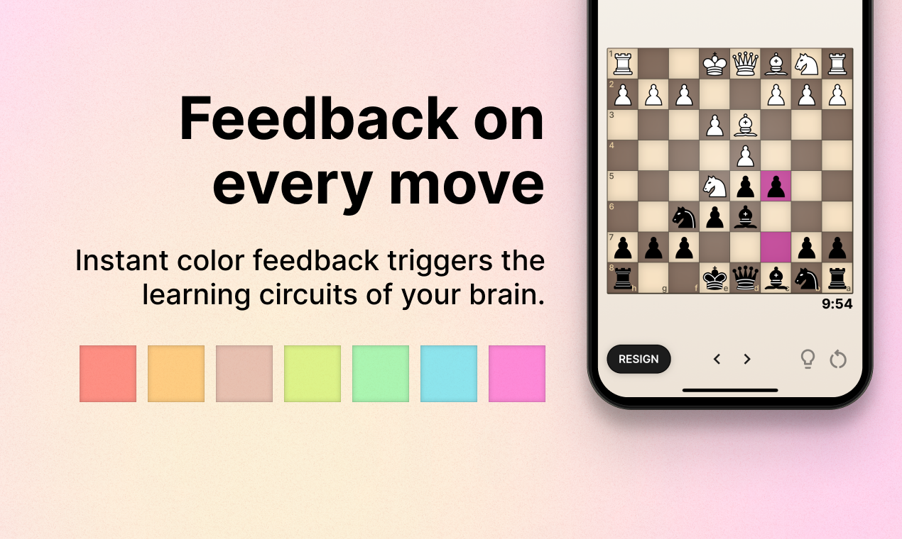 Noctie gallery image