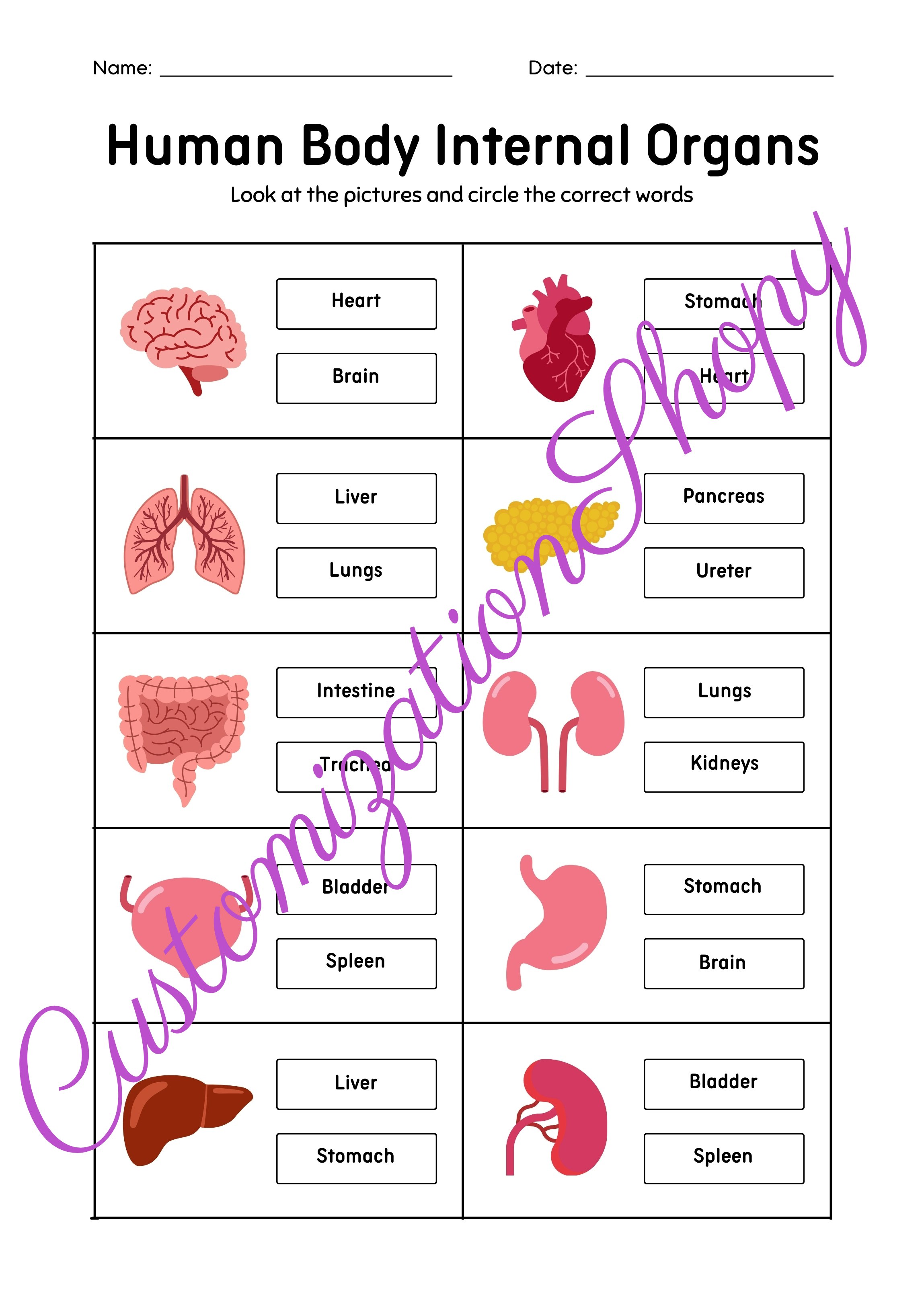 Attività per bambini |Nomi delle parti del corpo - Poster educativo fissato per i bambini media 4