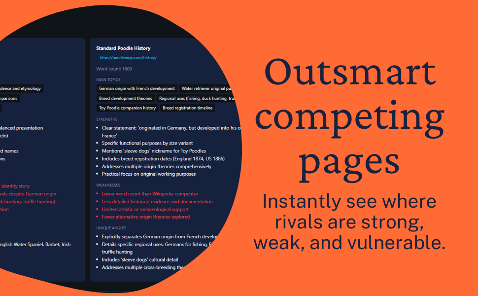 RankJuice gallery image