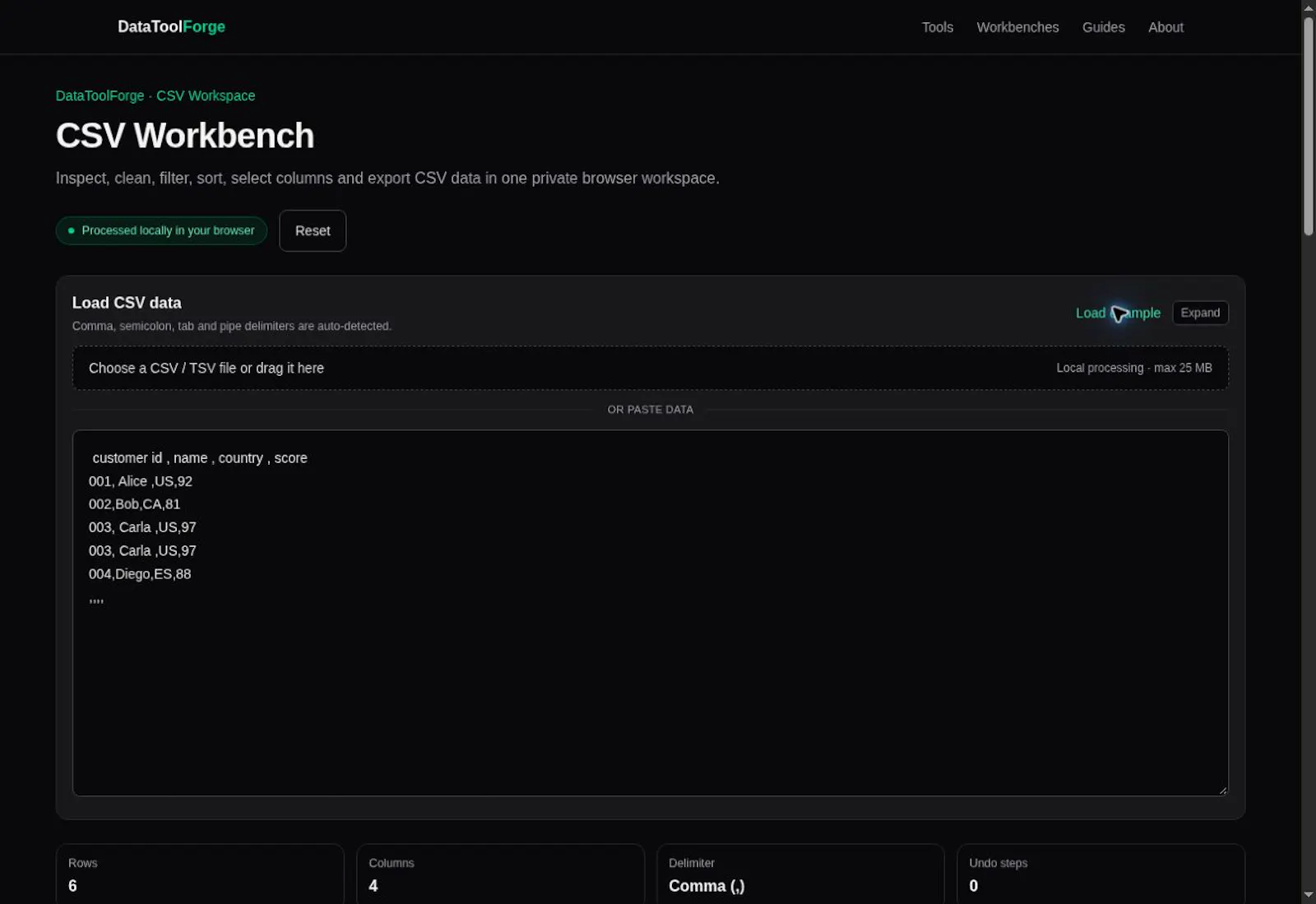 DataToolForge screenshot 2