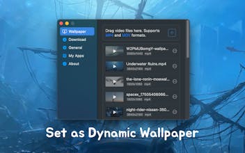 Vidwall gallery image