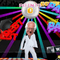Bern Baby Bern