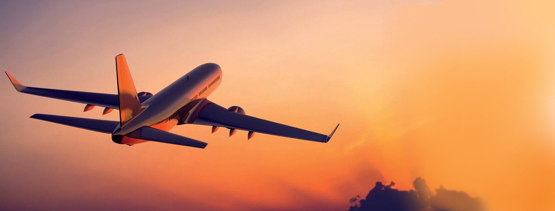 Amazing Airfare logo