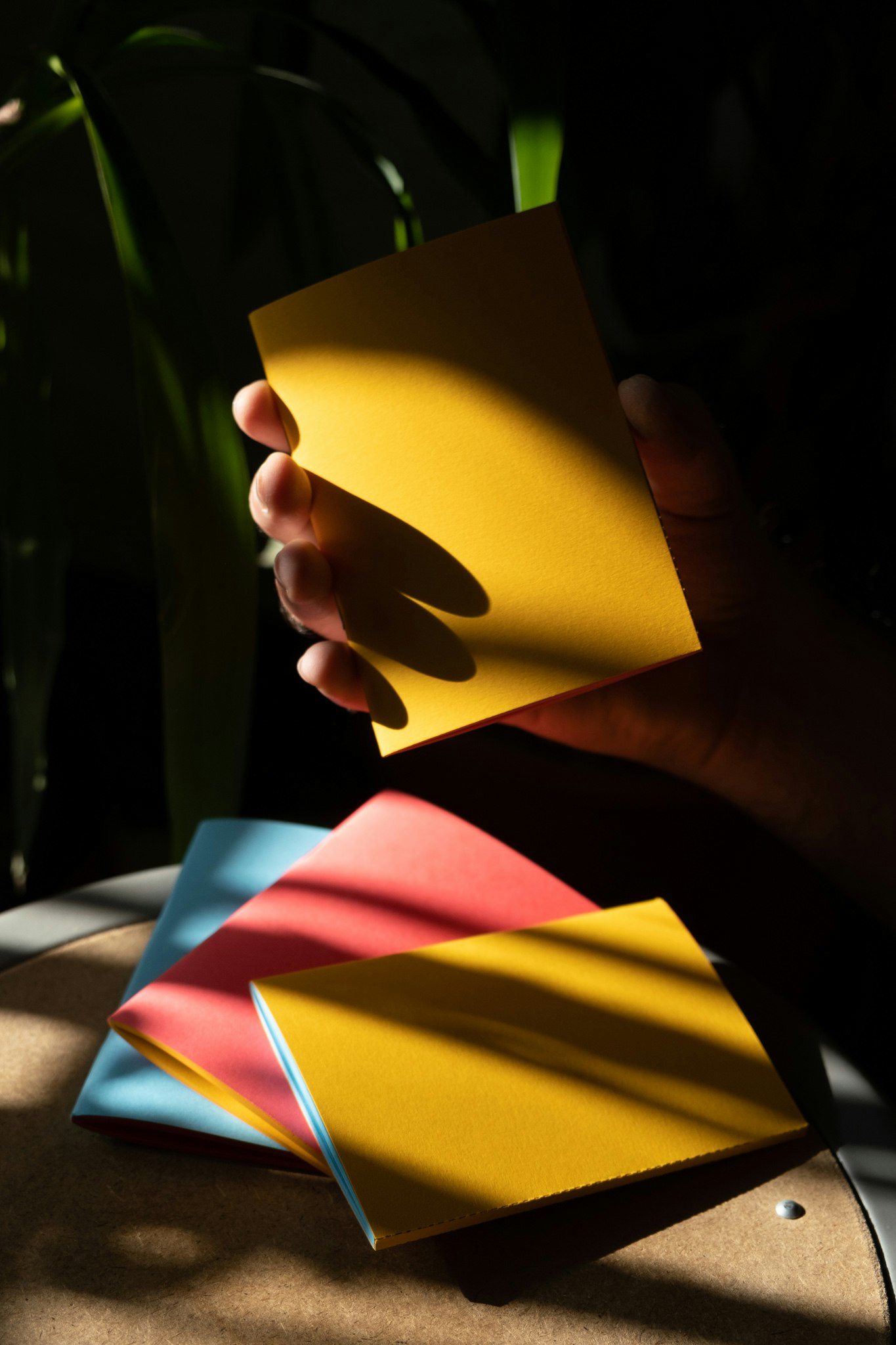 Weird Looks Notebooks gallery image