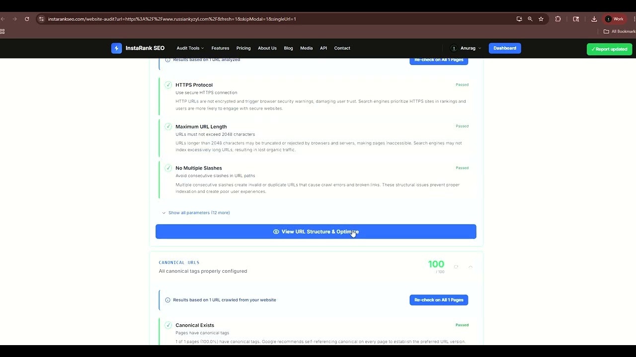 InstaRank SEO gallery image