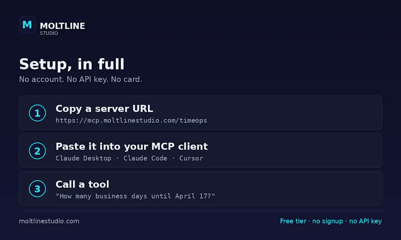 Moltline Studio screenshot 4