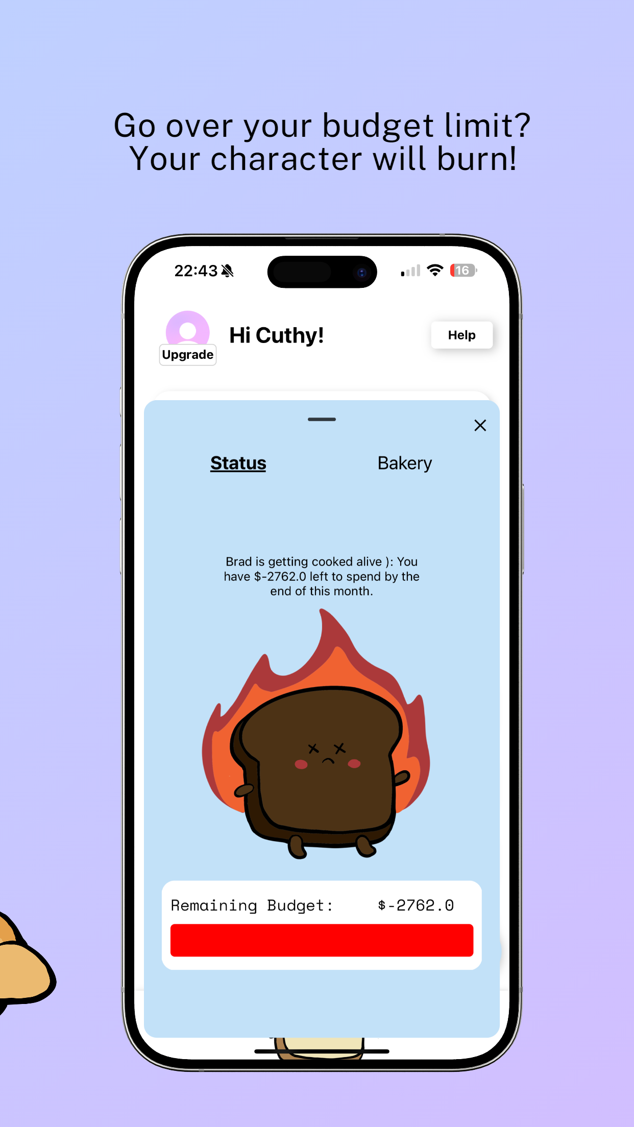 Budget del pane - La tua app di budget amichevole media 5