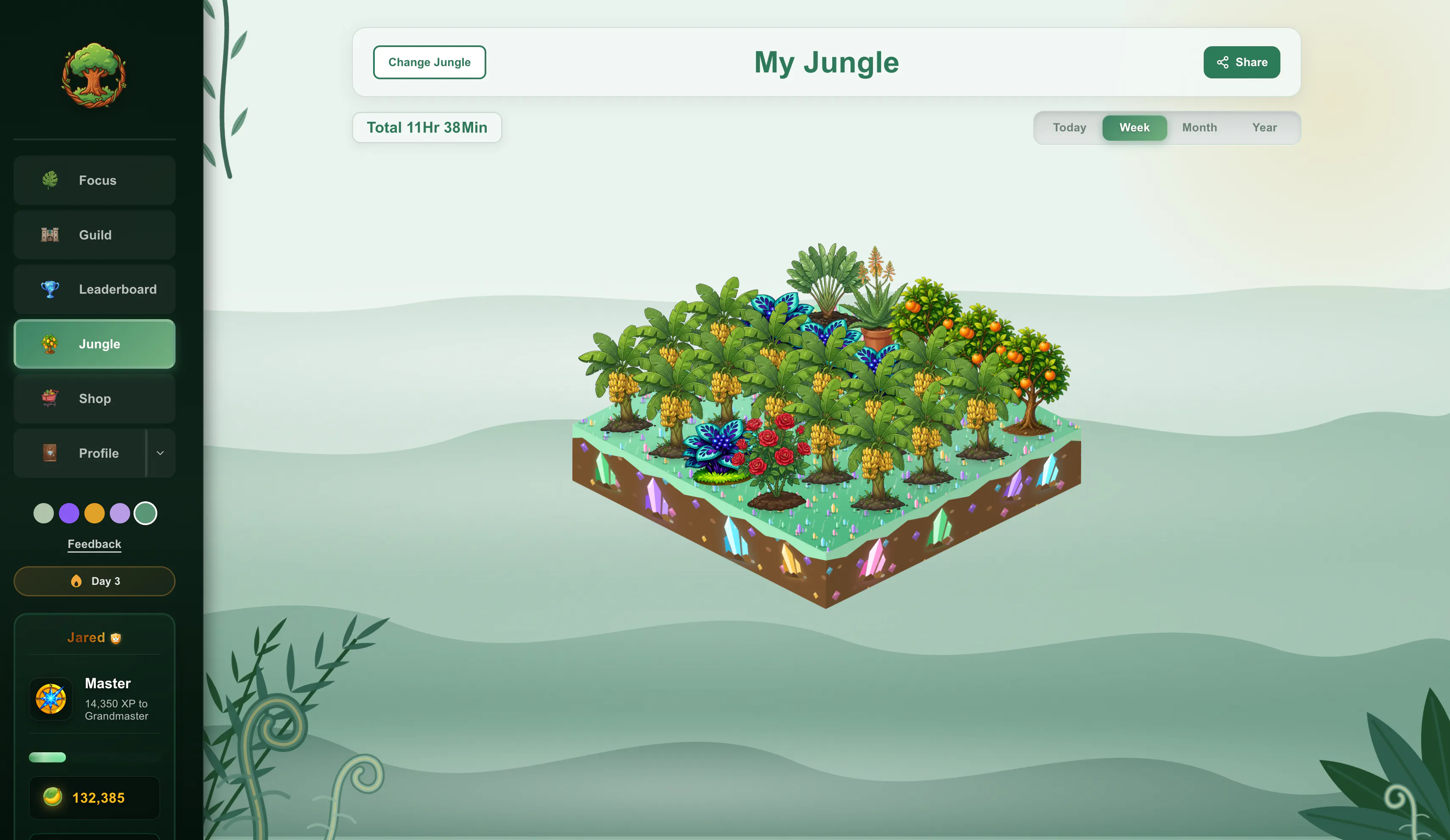 Focus Jungle gallery image