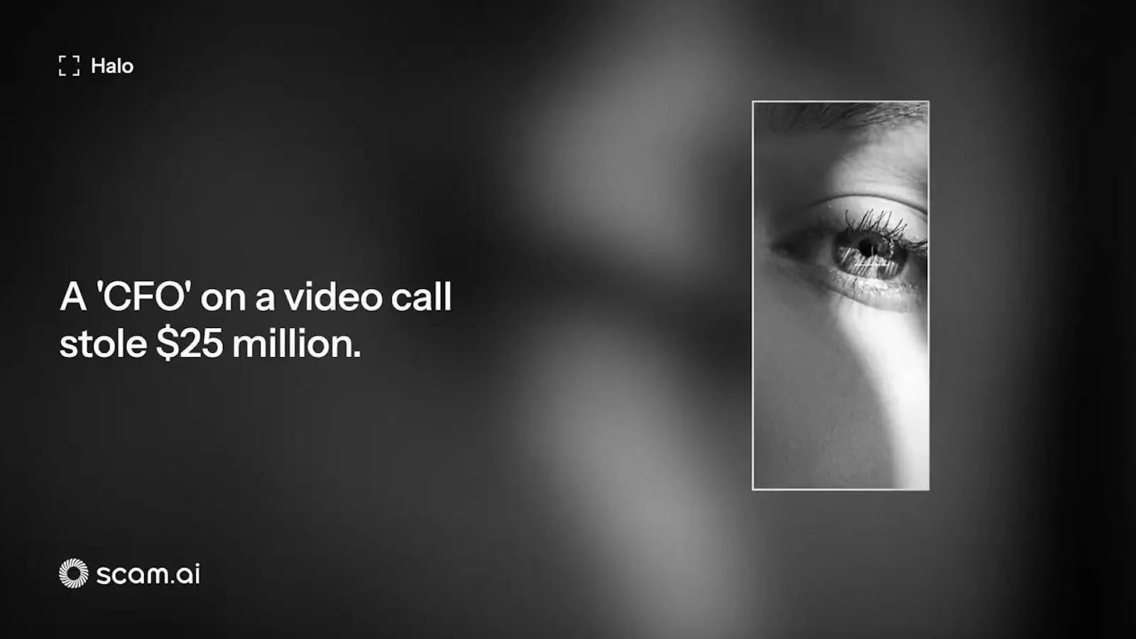 Halo by Scam AI screenshot 1 (video preview)