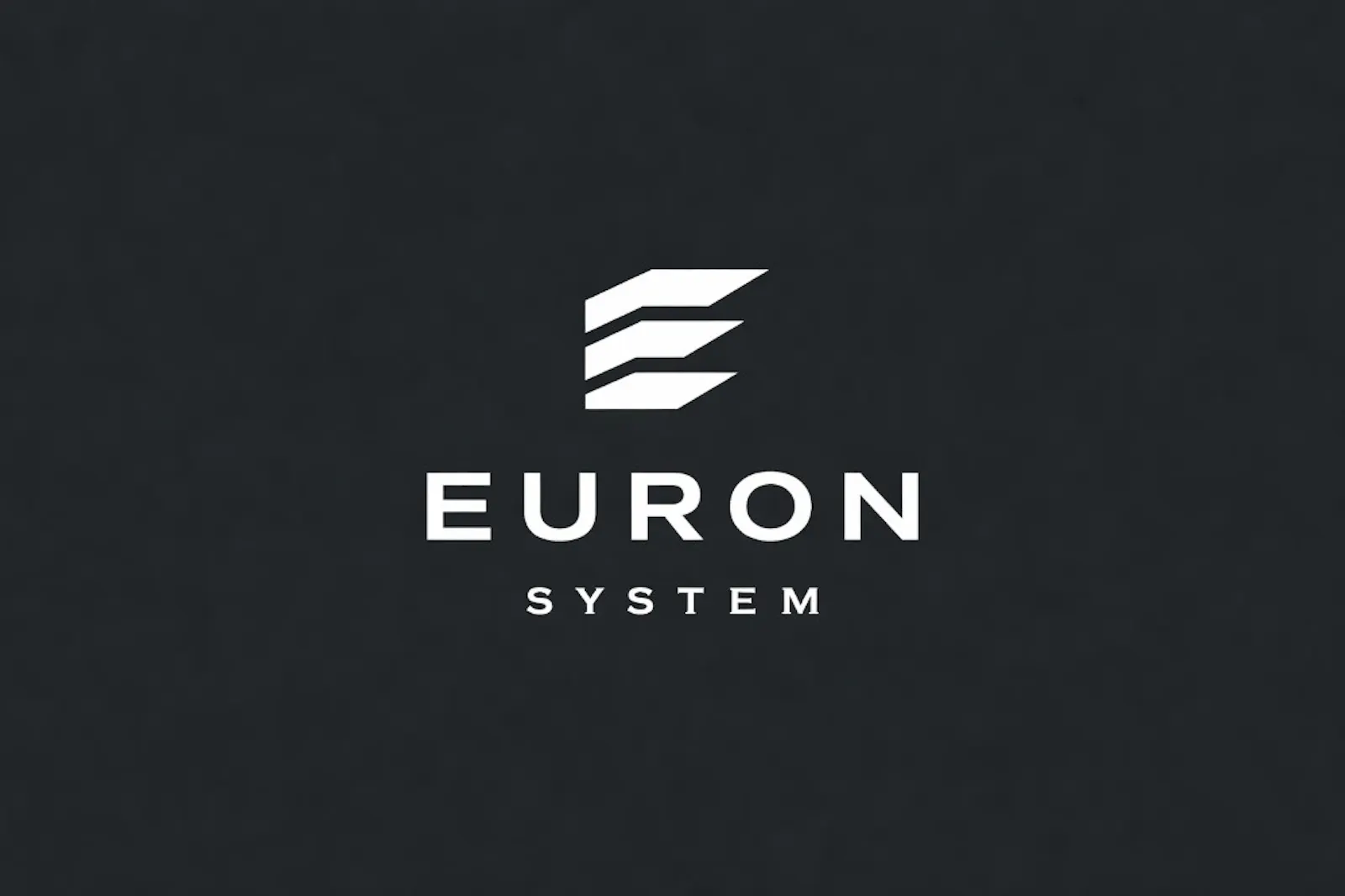 Euron Systems screenshot 1
