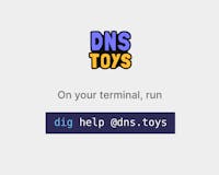 DNS toys media 2