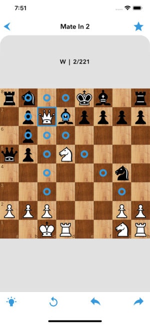 SKchess gallery image