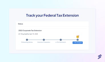 Tax Extension & Startup Tax Plan gallery image