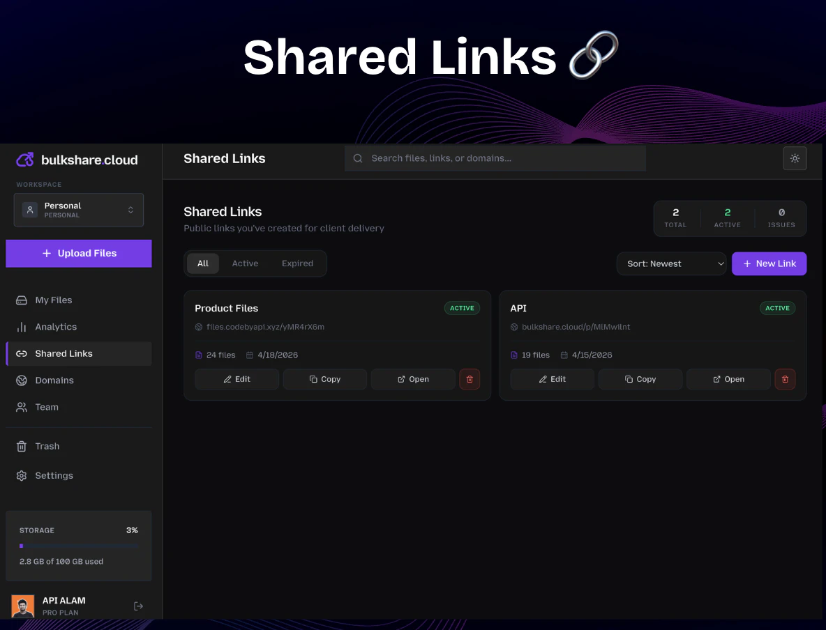 bulkshare.cloud screenshot 4