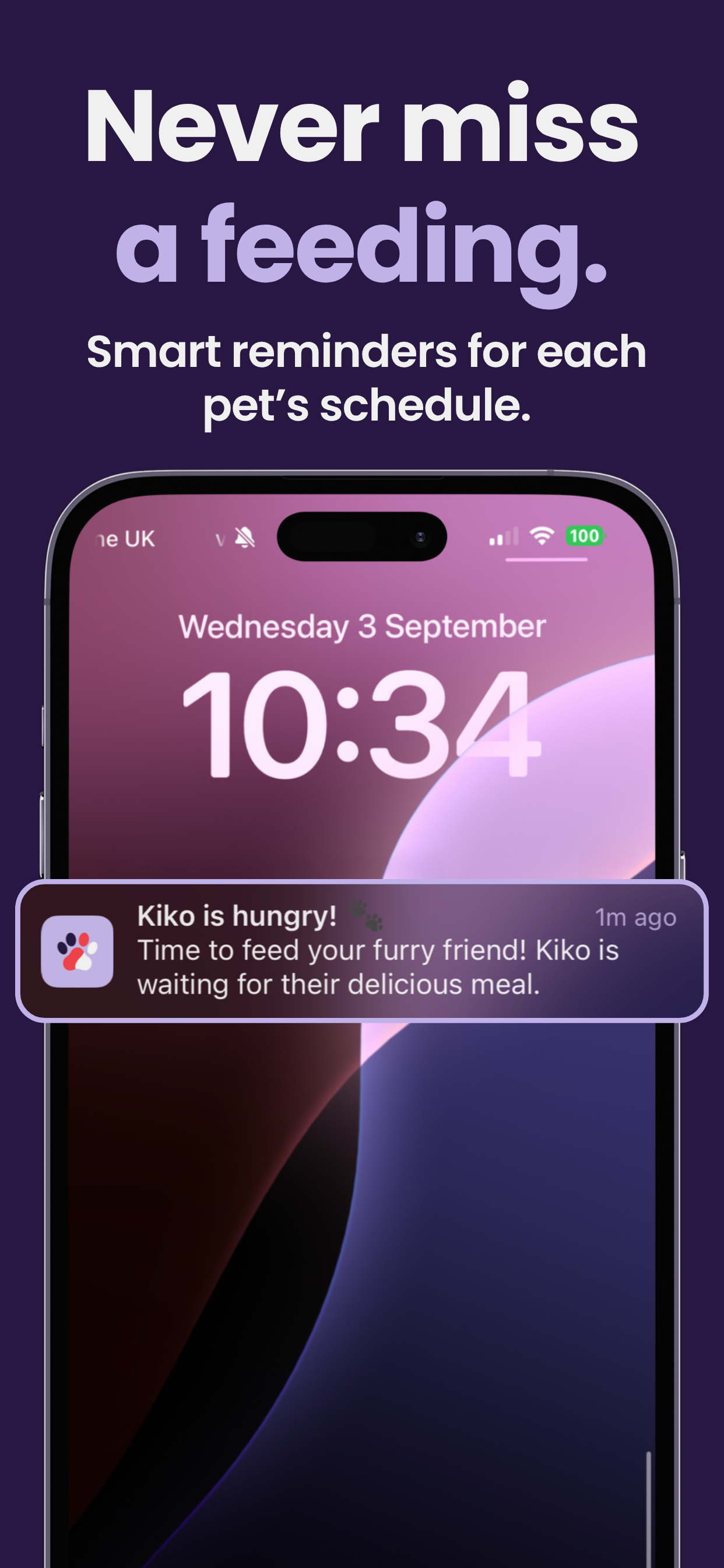 Pawfolio gallery image