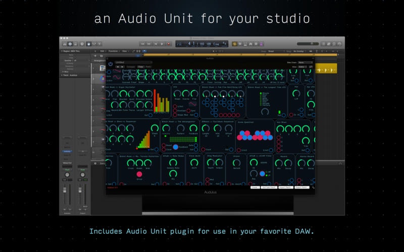 Audulus Image
