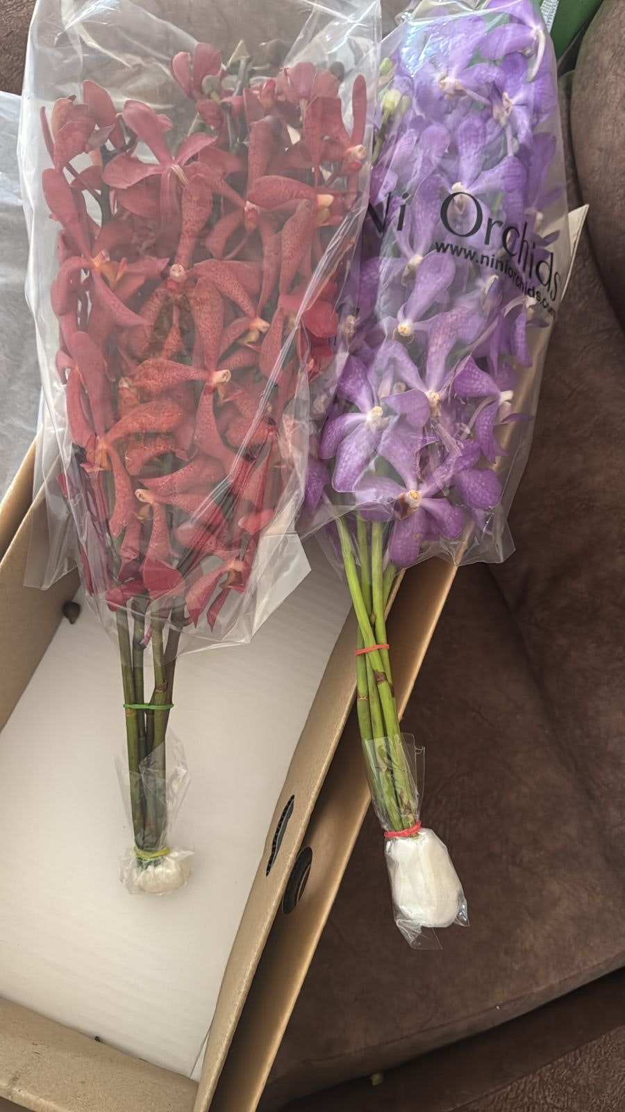 Nini Orchids gallery image