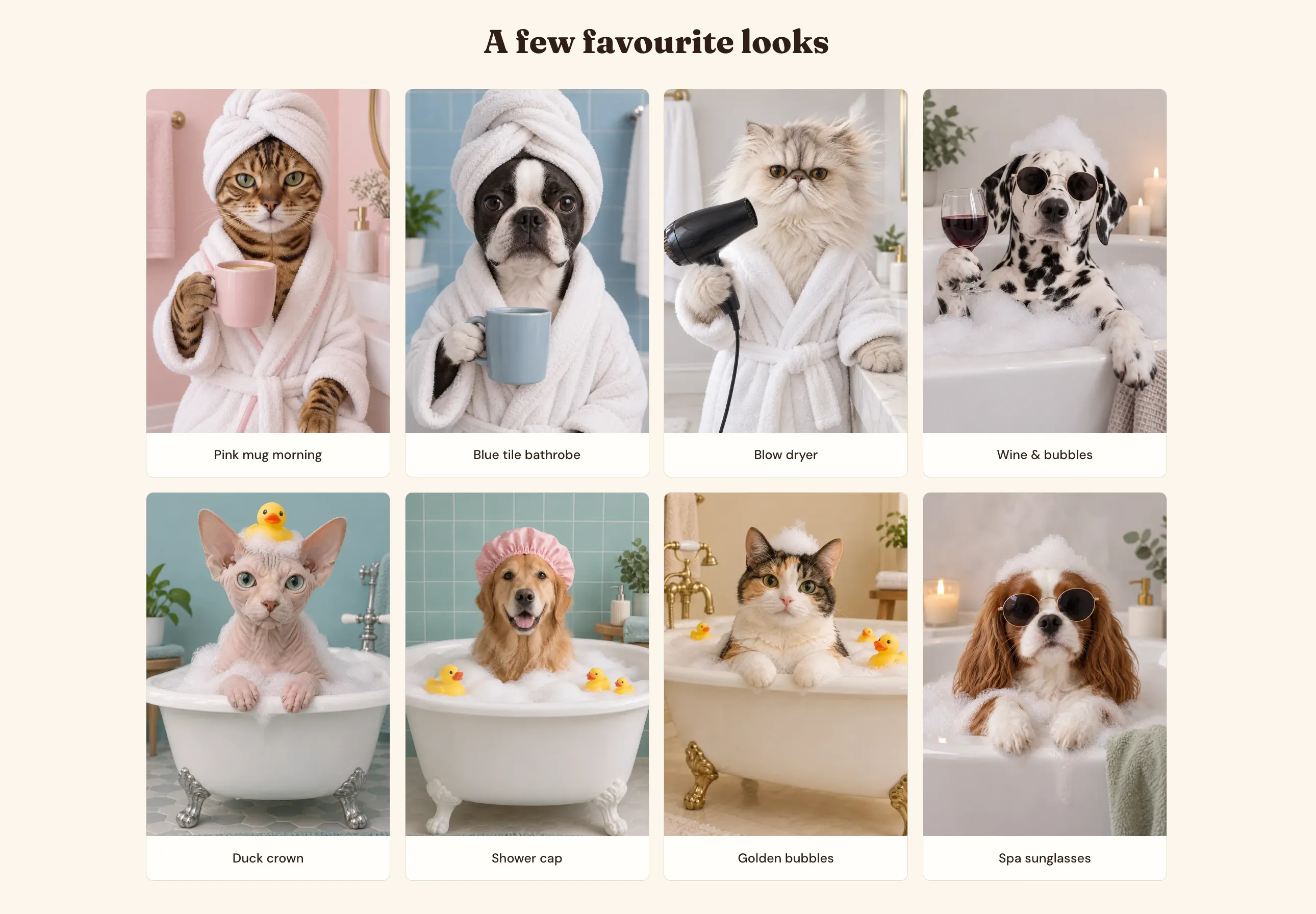 Spa Day Pets gallery image