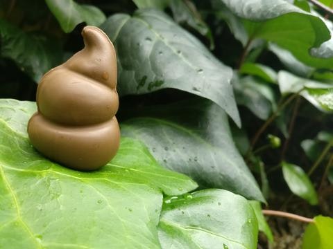 Poop Chocolate