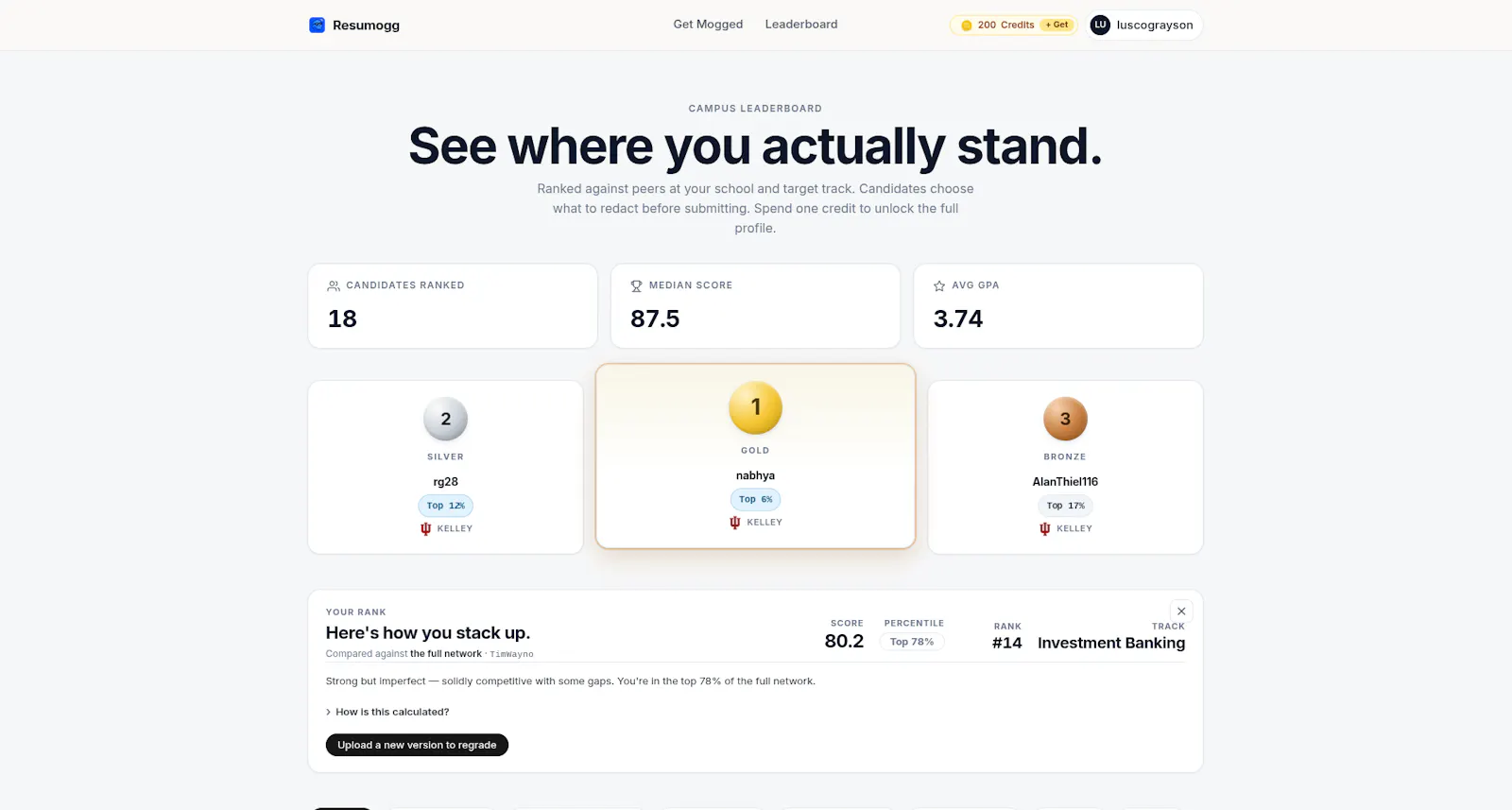 Resumogg.com screenshot 3