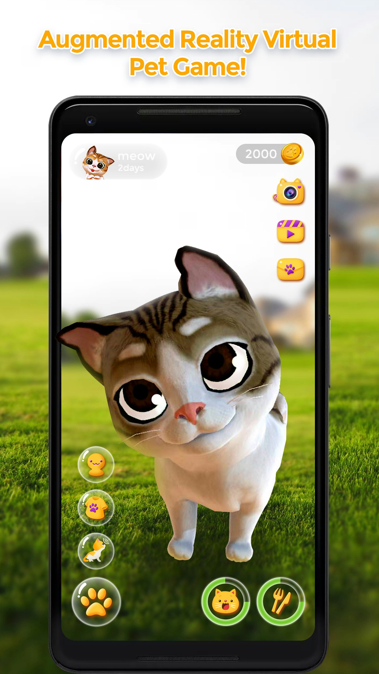 Meow - AR Cat Image