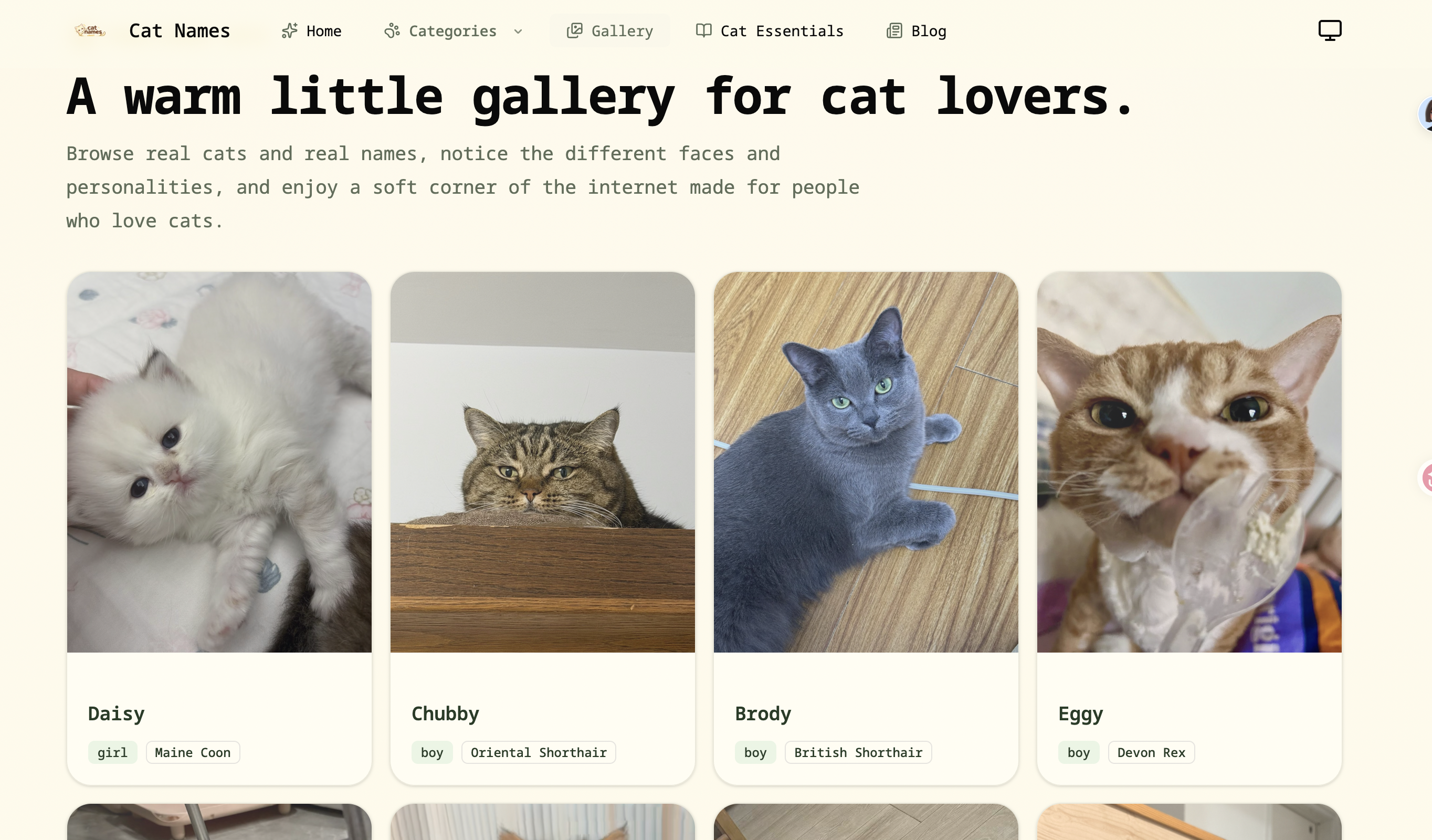 cat names gallery image