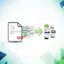 Terms of Use & Privacy Policy Generator