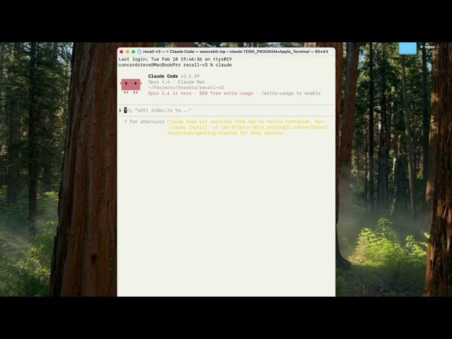 Recall gallery image